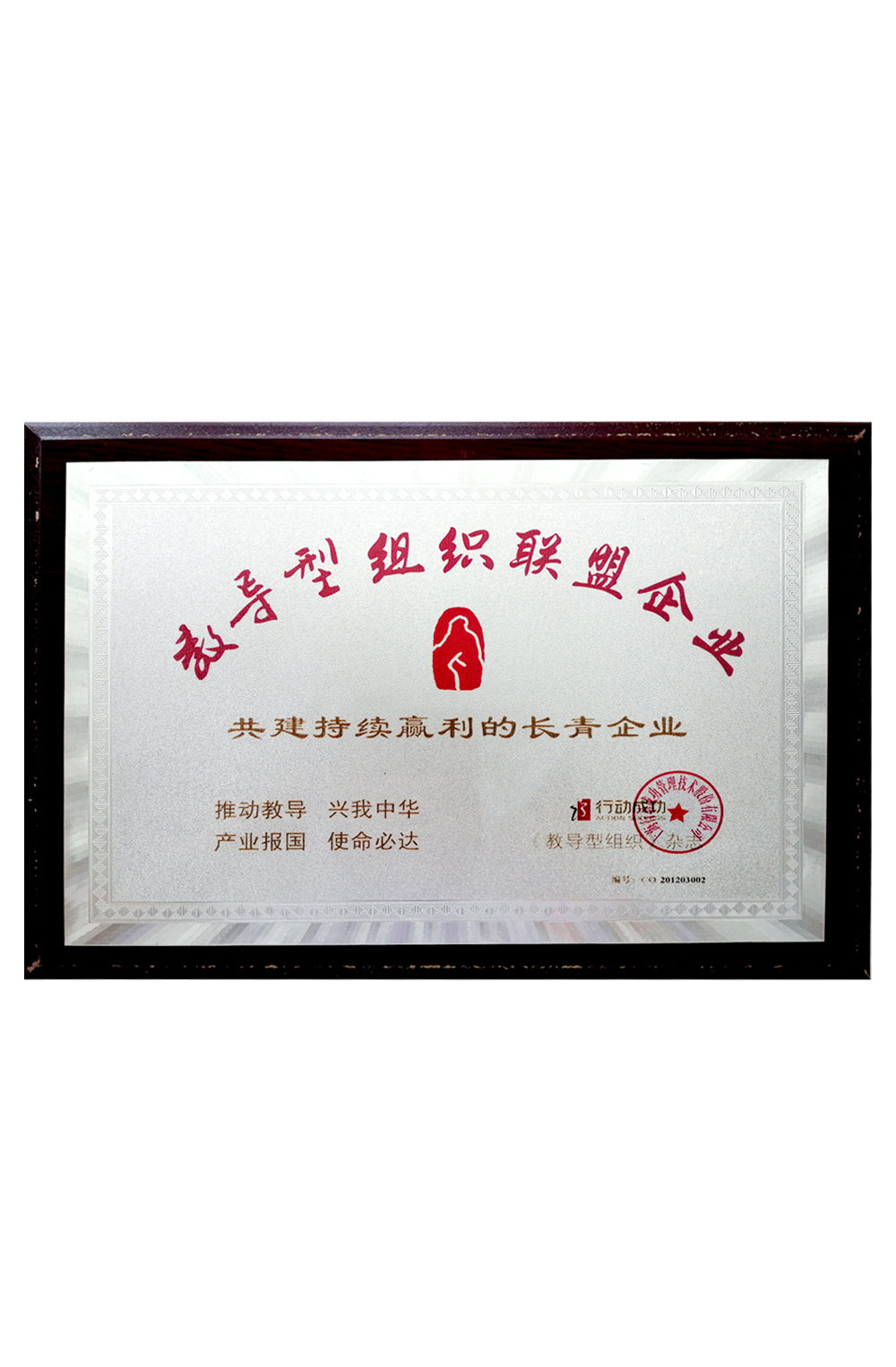 教導(dǎo)型組織聯(lián)盟企業(yè)